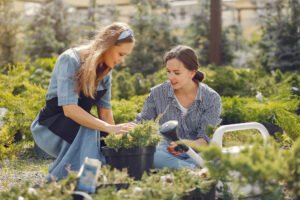 garden management