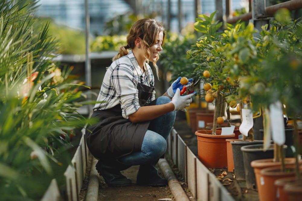 smart garden