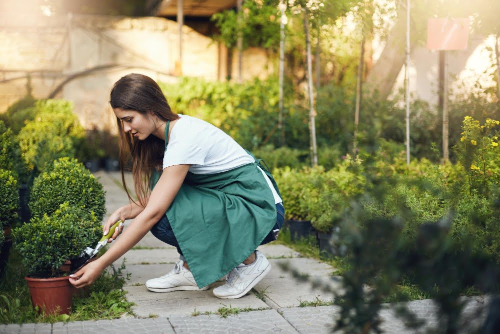 sustainable gardening