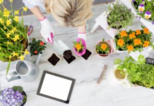 Online Garden Planner