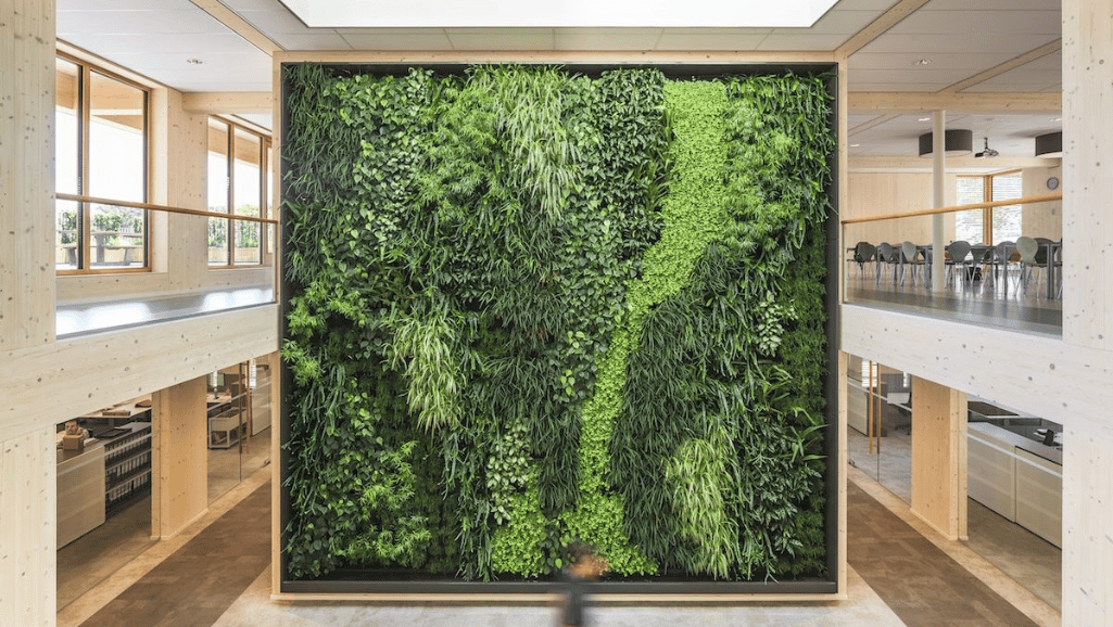 Biophilic Design Elements