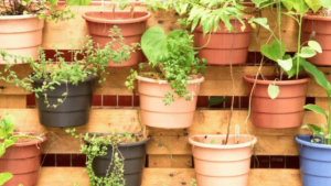 Innovative Vertical Planters