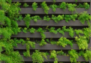 Green Roof Technology