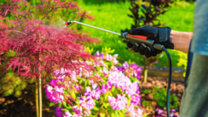 Garden Pests preventionProactive Measures