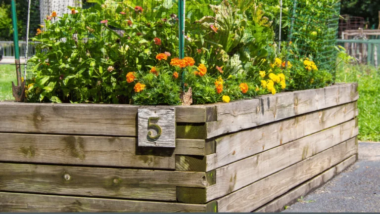 Creating Beautiful Raised Bed Gardens: Tips & Ideas 1 Beautiful Raised Bed Gardens