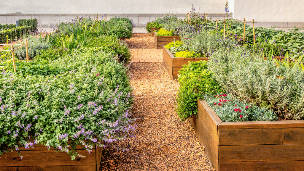 raised flower beds