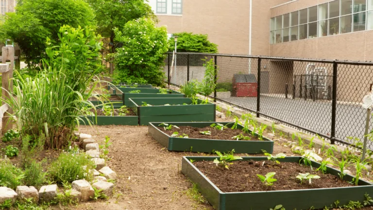 Elevate Your Garden with Decorative Raised Beds 1 Decorative Raised Garden Beds