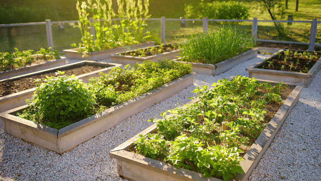 choosing the right materials for raised flower beds