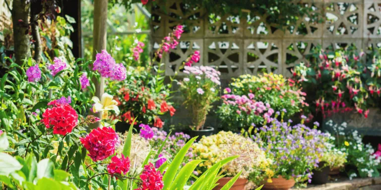 Backyard Flower Gardens